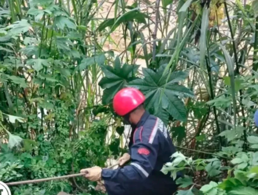 Hallan en Higuerote cuerpo de hombre arrastrado por el río Guaire