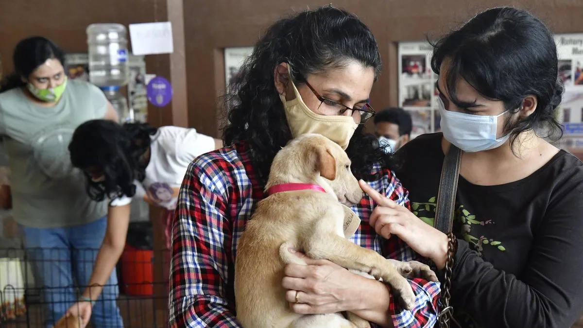 Pet insurance emerges as a financial cushion as vet bills run into lakhs