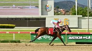 Clásico Lanzarina: Aitana Princess acapara las miradas en la 3.ª válida de este domingo