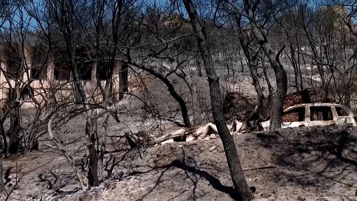 Nach verheerenden Waldbränden - Griechische Insel versinkt in Asche