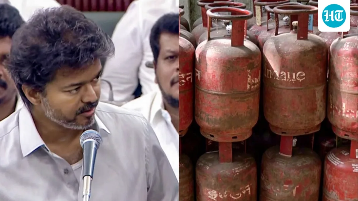 When will Vijay govt roll out free LPG cylinder scheme in Tamil Nadu, who can avail it