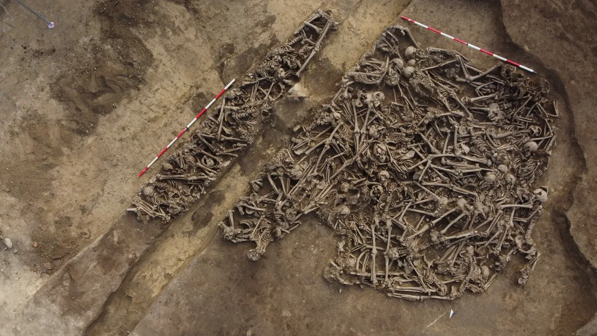 'The lance head was still inside the pelvis': Mass grave found in Austria may hold casualties of unknown ancient Roman battle