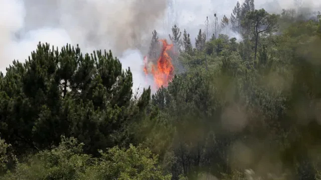 Incêndio na Trofa faz um bombeiro ferido e leva à retirada de 40 alunos