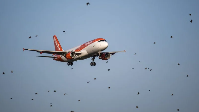 La flambée du kérosène force Easyjet à supprimer 700.000 sièges supplémentaires cet hiver pour un total de 1,4 million