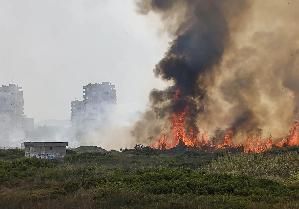 La Guardia Civil descarta causas naturales en el incendio del Saler y apunta que fue intencionado