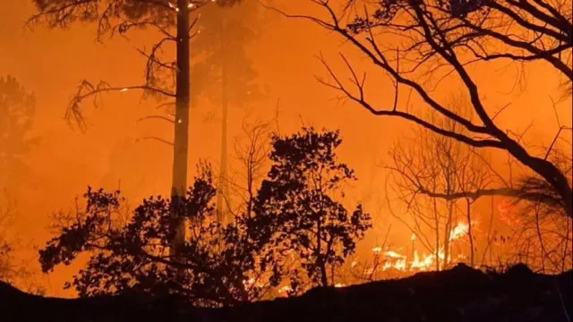 Dominado fogo em Santo Tirso