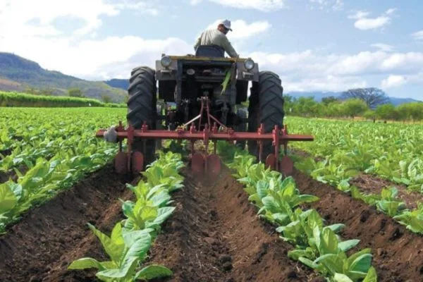 Presentan protocolo para agilizar emisión de permisos sanitarios en sector agroalimentario