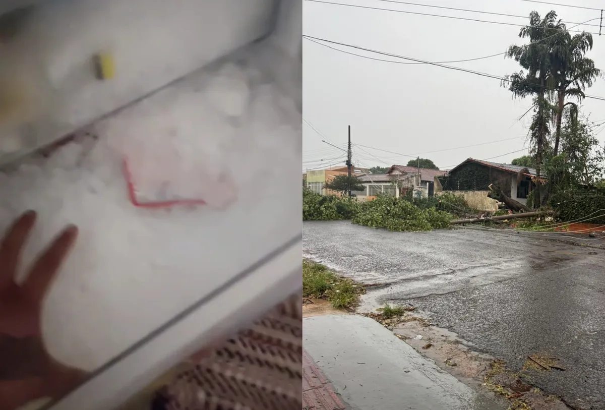 Dois dias após temporal, moradores acumulam prejuízos e seguem sem energia em MS; advogada orienta o que fazer
