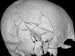 The Scottish soldier whose skull was crushed by a trebuchet: Skeleton found at Stirling castle is first confirmed victim of trebuchet attack