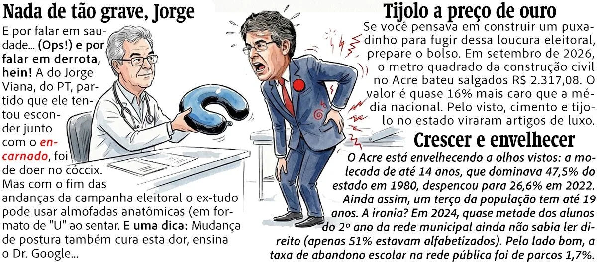 Sofá: grande vencedor das eleições
