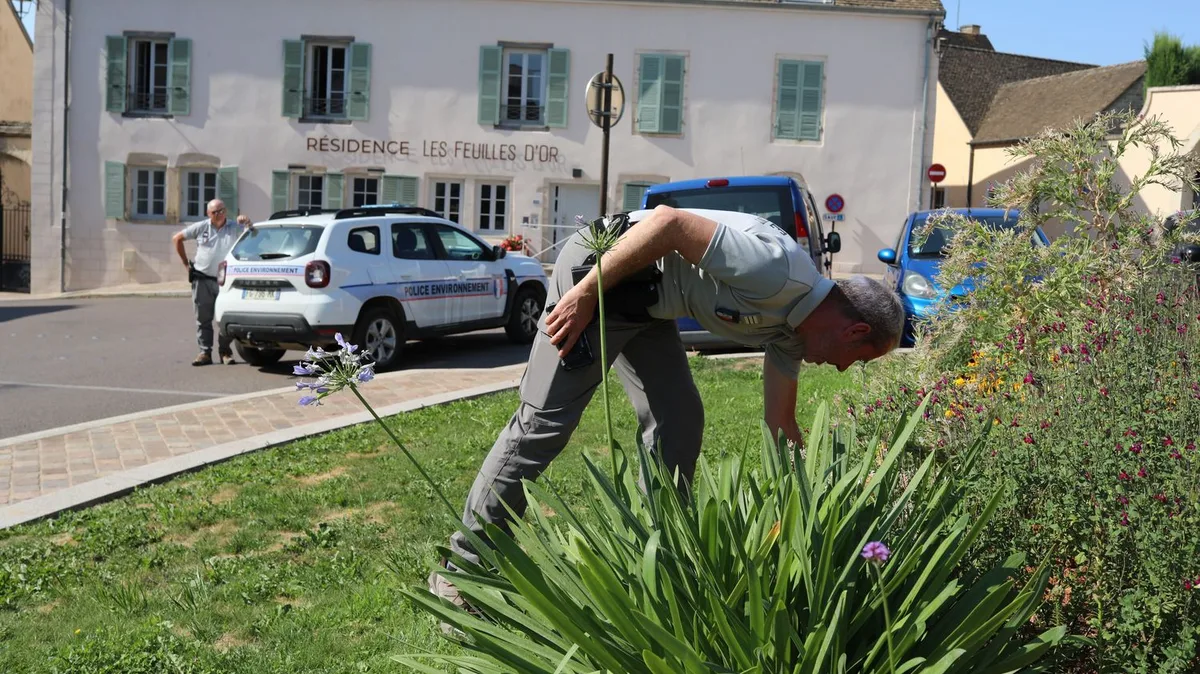 "On ne va pas embêter quelqu'un pour trois géraniums" : en Côte-d'Or, les agents de l'OFB font respecter les restrictions d'eau avec pédagogie