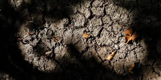 Sécheresse : les petits cours d’eau dans un état de dégradation « exceptionnel », selon l’Office français de la biodiversité