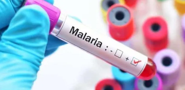 Novo remédio em dose única contra malária avança em testes