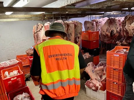 EXPLAINER | Labour inspectors shocked to find cats at Joburg butchery premises