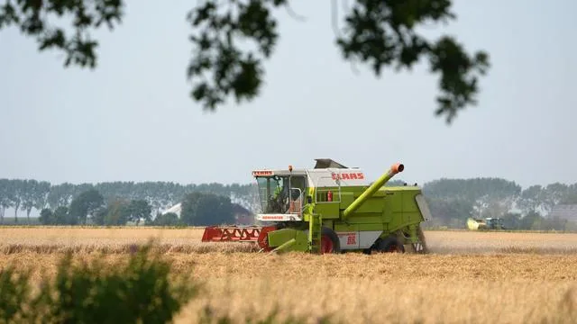 Vorbereitung auf Wahlkampf: Bauernpräsident Lucht wettert gegen Umweltministerium