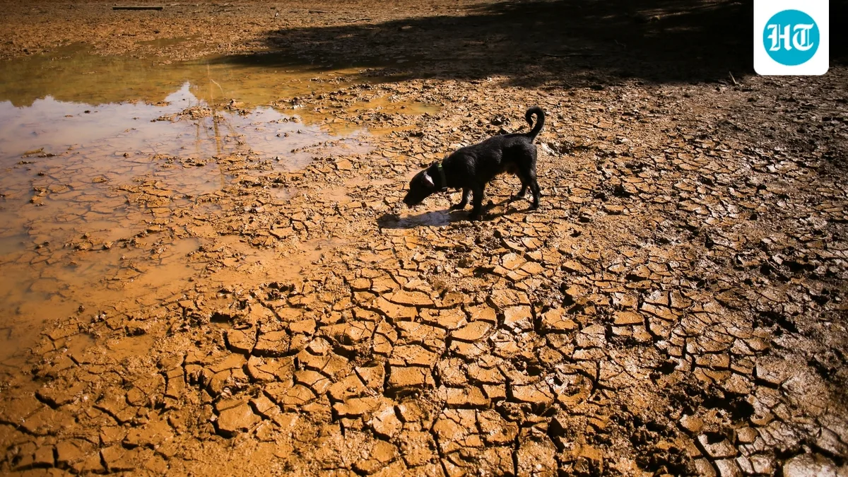 El Nino, strongest on record, could cause 451,000 extra heat deaths: Report