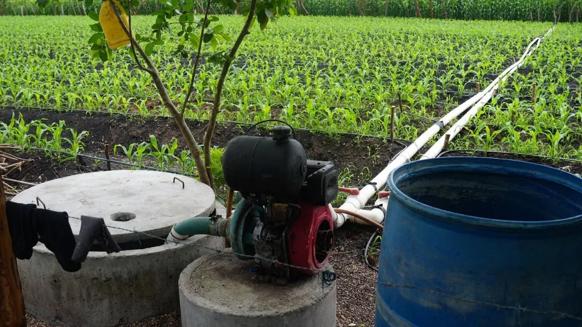 Honduras enfrenta una crisis de sequía en 75 municipios y alcaldes piden acelerar obras para garantizar agua
