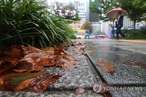 전북 낮 기온 27∼29도…밤부터 비 소식