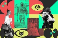 Broadway’s Best Friend: Bernadette Peters, Darren Criss & Ariana DeBose to Perform at 2nd Annual Fetch Pet Gala in N.Y.