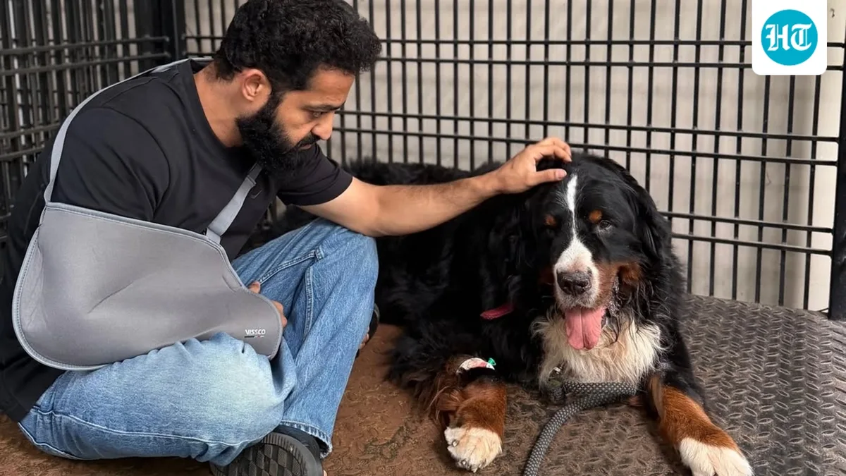 Jr NTR gets emotional over death of his pet dog, places plant on grave: ‘Your absence leaves a silence too large’