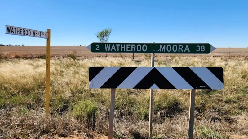 Dalaroo survey lights up deep WA copper-nickel-PGE targets