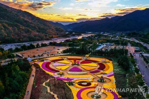 형형색색 꽃길에 문학 낭만 한 스푼…인제 가을꽃축제 D-2