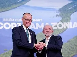 Sperre für Merz' Regenwaldfonds?: Bundesregierung sieht keinen "Aufstand" gegen Kanzler