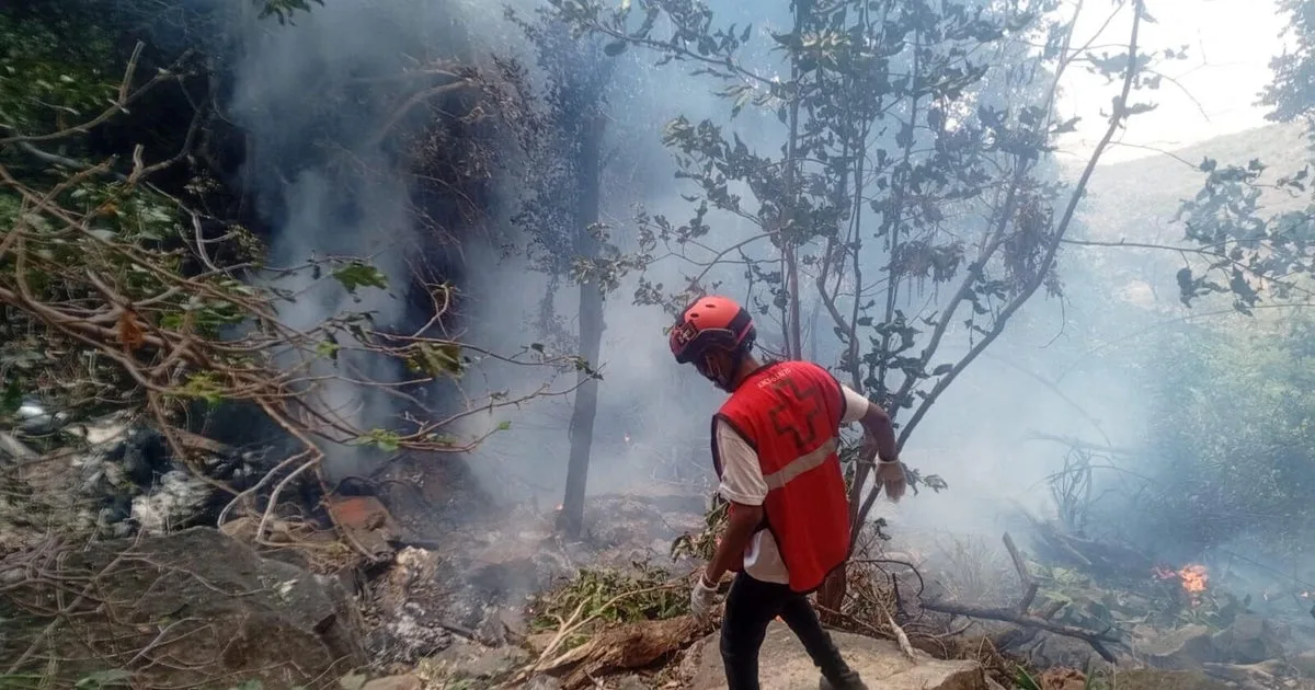 5 Americans among 7 people killed in Kenya helicopter crash