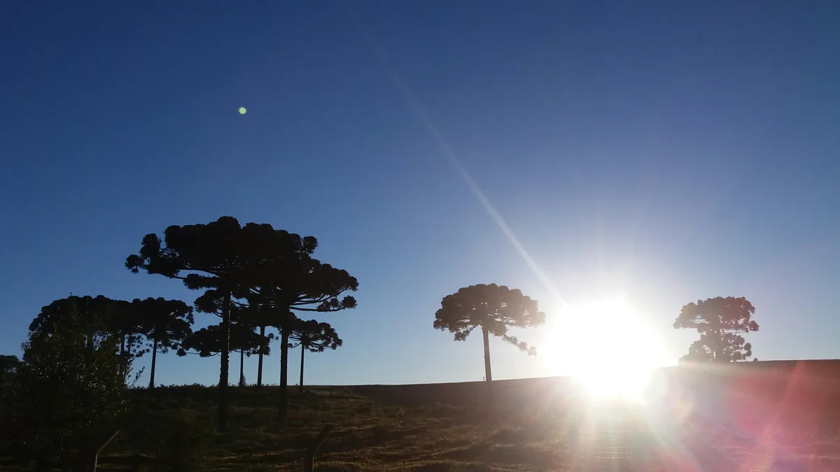 Frente fria traz frio e mínimas invertidas ao Paraná; veja a previsão para fim de semana