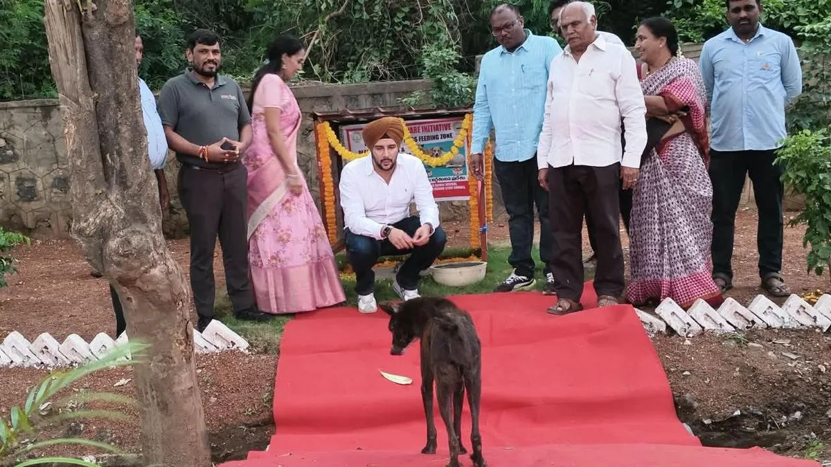 GVMC plans exclusive 25 feeding zones for stray dogs in Visakhapatnam