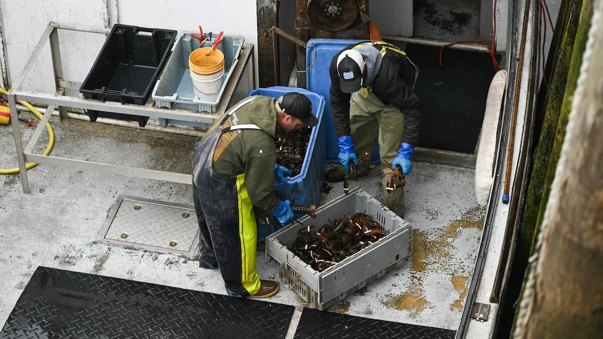 Canadian seafood industry 'relieved' with removal of their products from retaliatory tariff list