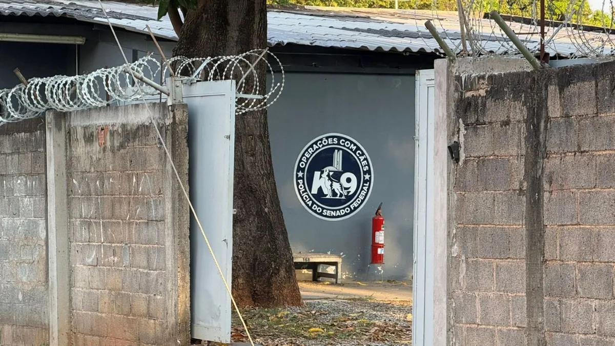 Canil do Senado é fechado após morte de veterinária atacada por cachorro