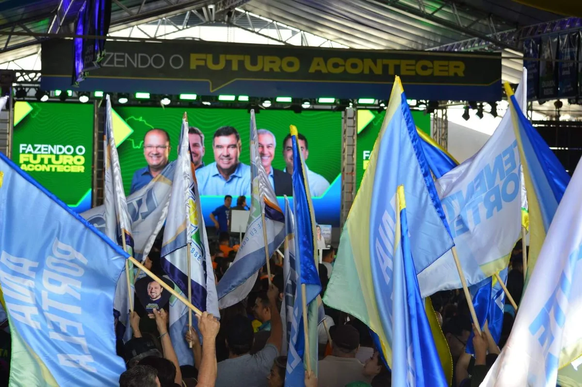 Até onde vai sua participação em uma campanha eleitoral?
