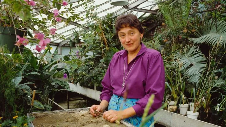 Lynn Margulis et la symbiose : l'union fait la vie