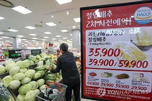 농식품부 "김장철 배추·무 공급 안정…마늘·양파가격 높을 듯"
