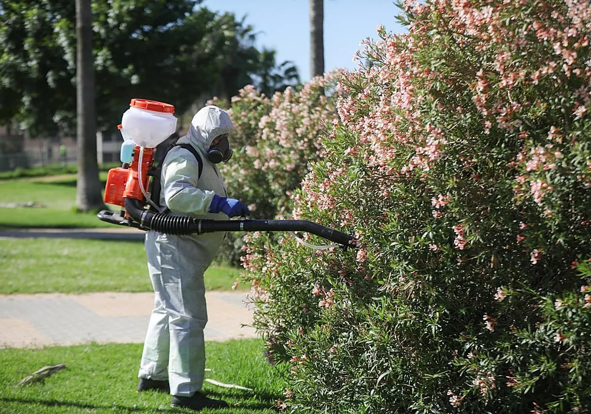 Un nuevo caso grave en Dos Hermanas eleva a 47 el número de infectados de virus del Nilo en Andalucía