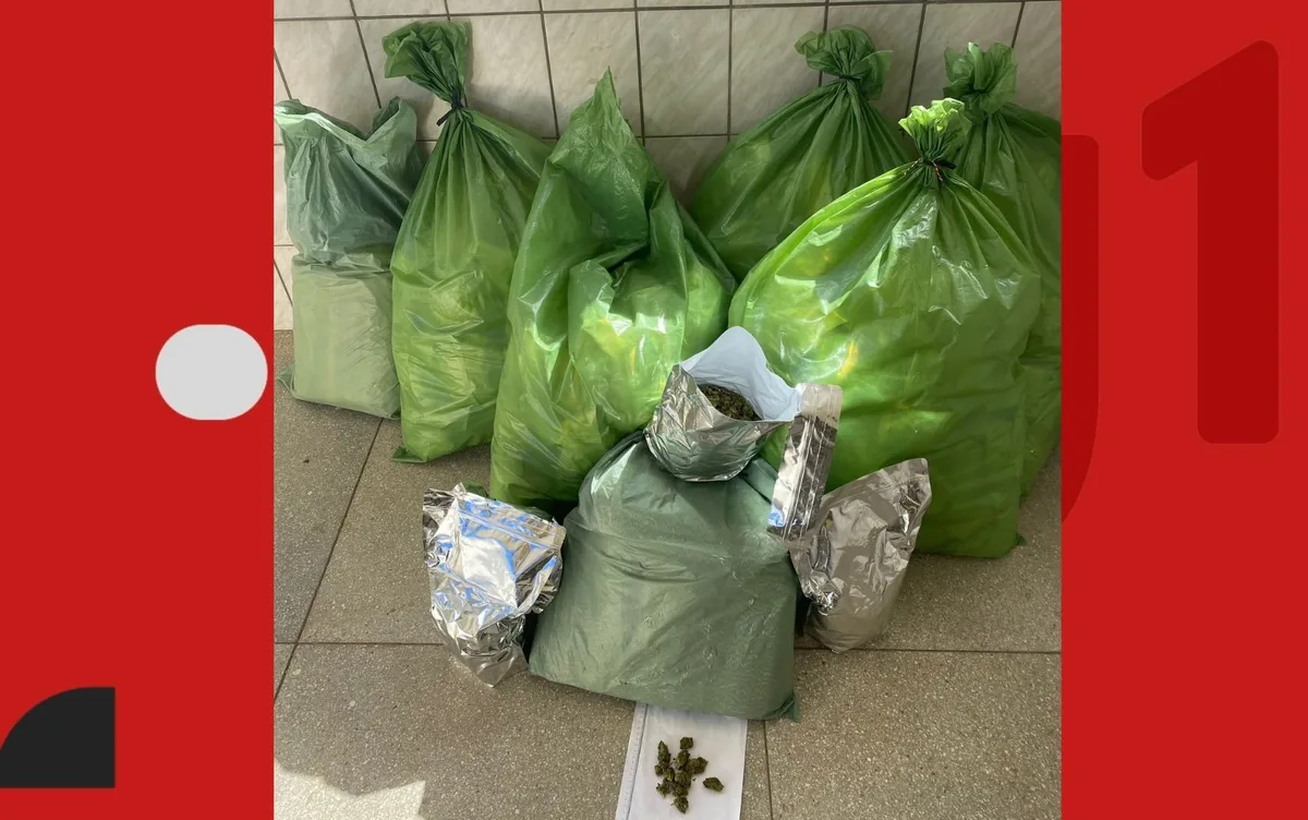 Quatro pessoas são presas com quase 60 kg de maconha; caminhonete e carro são apreendidos na Bahia