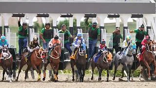 La revancha: Marakovits vs Princesa Fina frente a frente en el Clásico Hípica Nacional (GI)