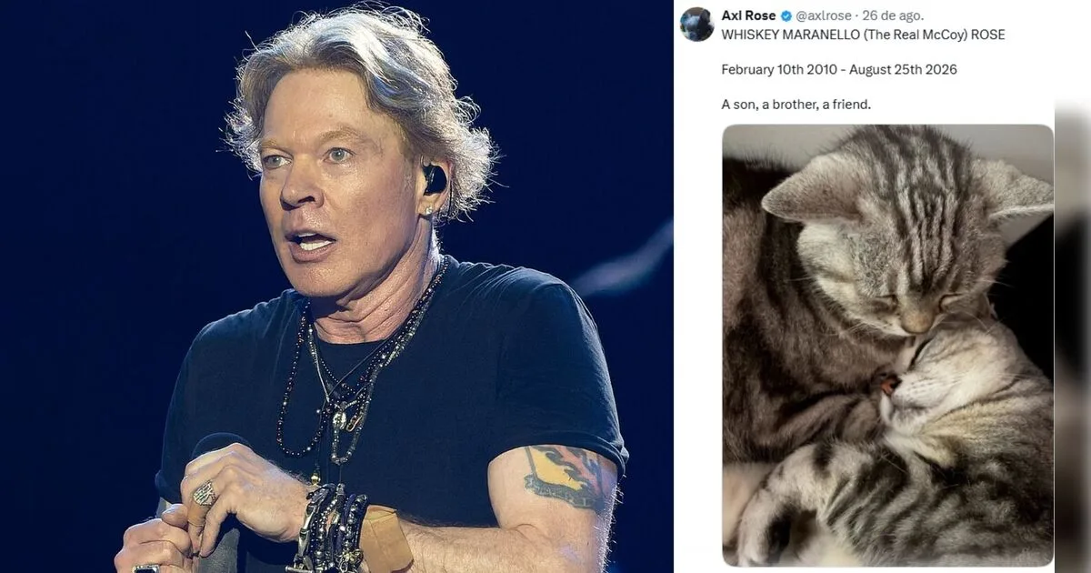 Axl Rose lamenta morte de seu gato Whiskey: 'um filho, um irmão, um amigo'