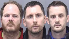 Men jailed over £70m tree-planting investment scam