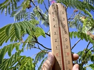 INFOGRAPHIES. Canicule : la journée du 13 août parmi les plus chaudes enregistrées en France, 2026 domine le classement