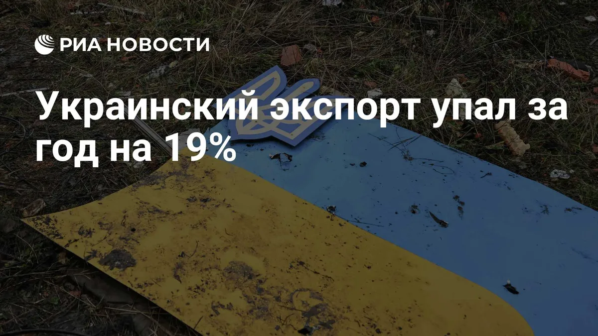 Украинский экспорт упал в августе на 19 процентов