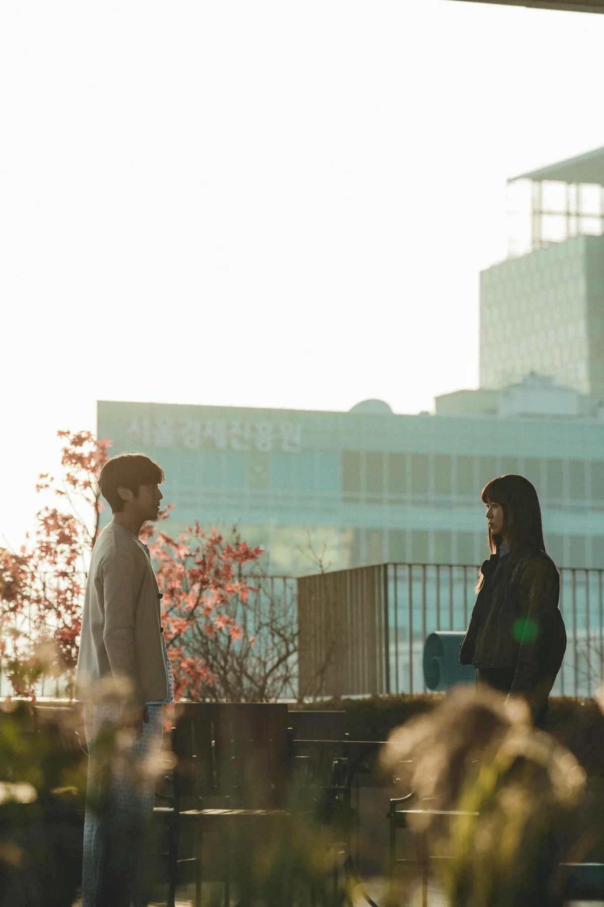 공효진에게 무슨 일이…병원 옥상서 위태로운 포착 (유부녀 킬러)