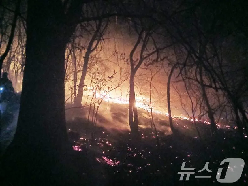 함양 대형산불 낸 ‘봉대산 불다람쥐’ 60대에 징역 10년 구형