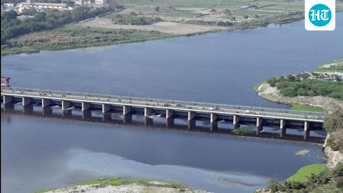 A missing flush: Yamuna fails to hit warning level this monsoon