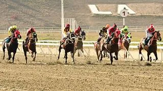 Meridiano Web revela las jugadas clave para armar "La Polla" del 5y6 en La Rinconada