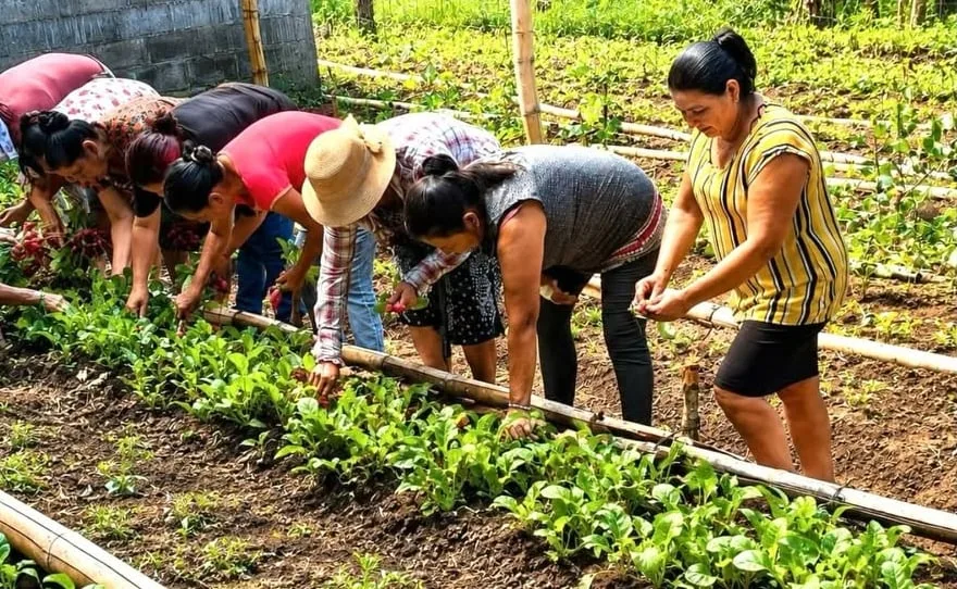 Impulsan una escuela agroecológica para formar a jóvenes de zonas rurales en occidente salvadoreño