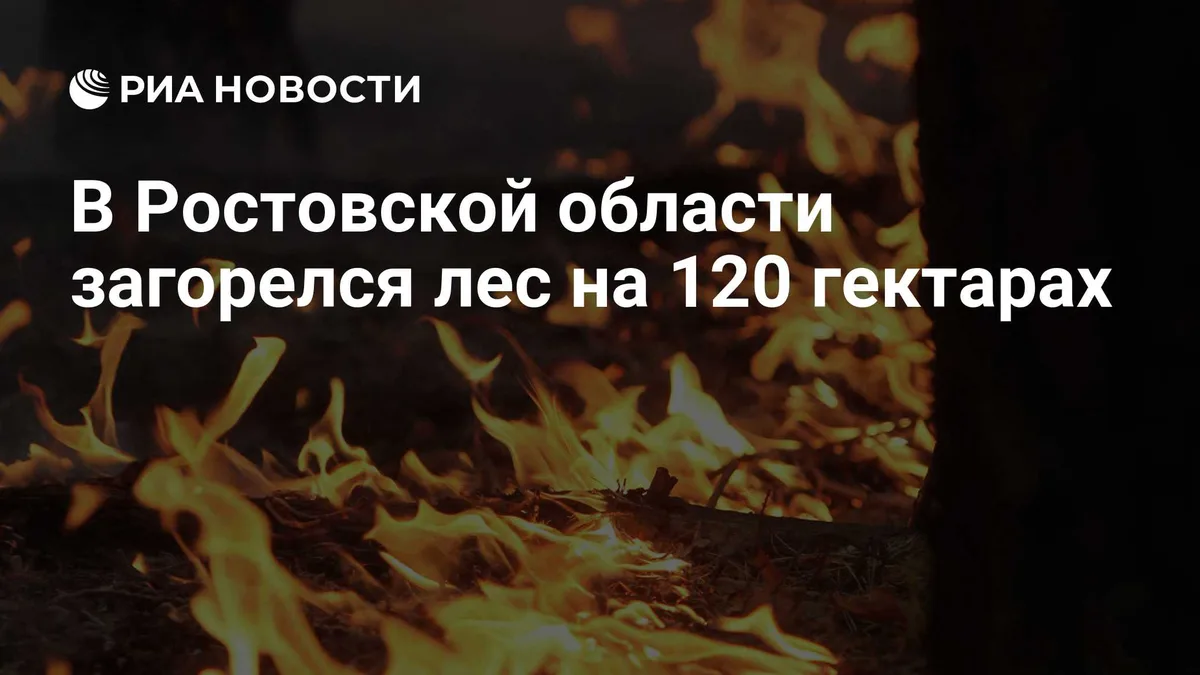 В Ростовской области загорелся лес на 120 гектарах