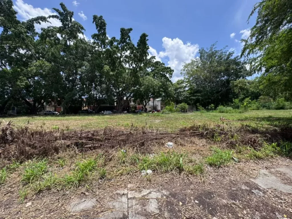 Habitantes de Montaña Fresca rechazan construcción de viviendas en terreno no apto