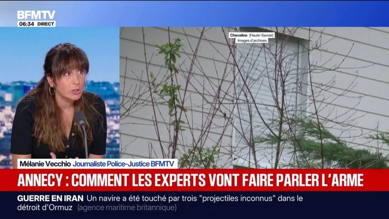 Tuerie de Chevaline: comment les enquêteurs vont-ils analyser l'arme retrouvée dans le lac d'Annecy?